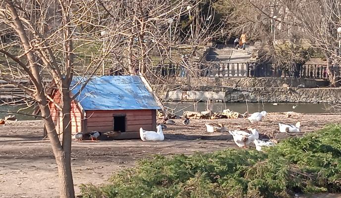 Bitrix 115176: IMG_20220320_154257_1.jpg