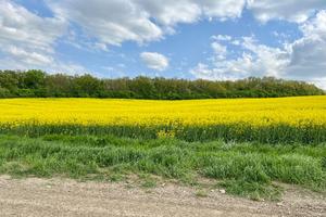 Bitrix 152023: IMG_20220428_WA0007.jpg