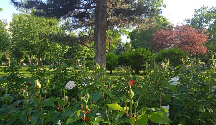 Bitrix 118518: IMG_20220528_174430.jpg