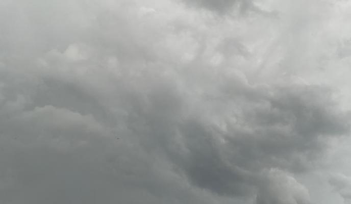 Bitrix 125419: IMG_20220627_WA0007.jpg