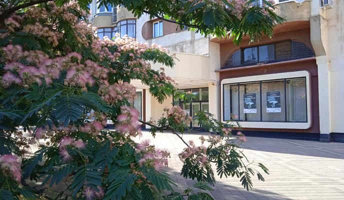 Bitrix 120144: IMG_20220702_175655_1.jpg