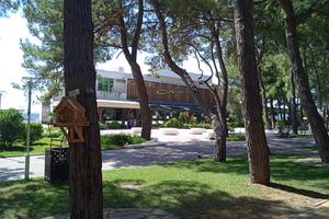 IMG_20220821_140953_1