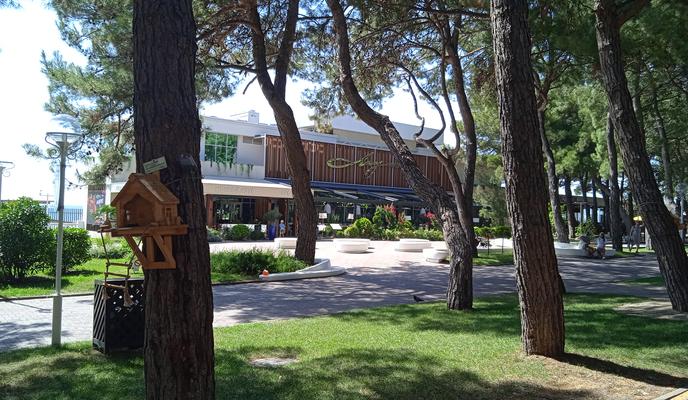 Bitrix 144466: IMG_20220821_140953_1.jpg