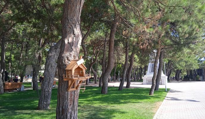 Bitrix 147105: IMG_20220821_141229.jpg