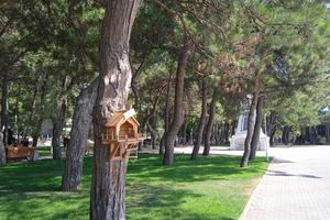 Bitrix 132352: IMG_20220821_141229.jpg