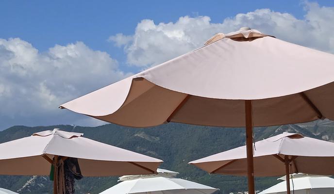 Bitrix 135852: IMG_20220821_160512.jpg