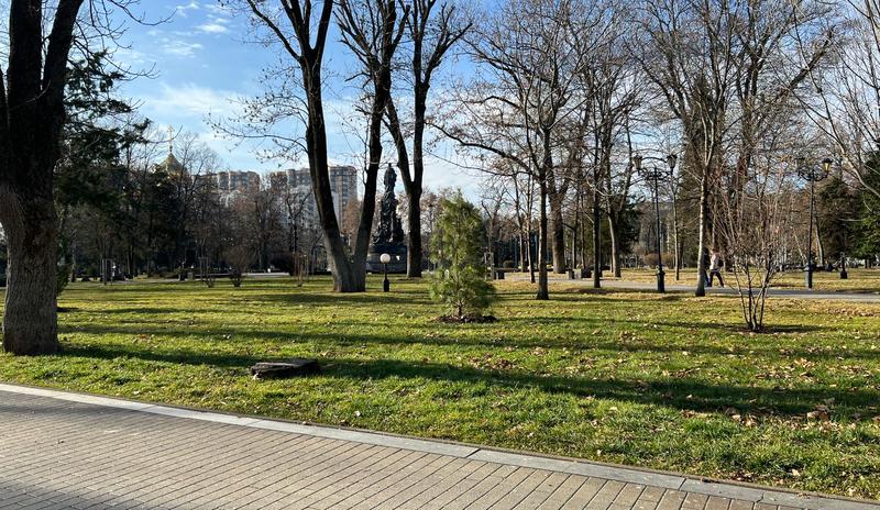 Bitrix 183213: IMG_20221211_WA0004.jpg