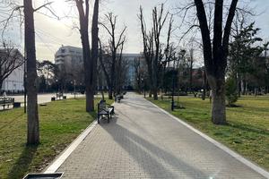 Bitrix 146832: IMG_20221219_WA0000.jpg