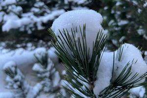 Bitrix 182074: IMG_20230208_WA0001.jpg