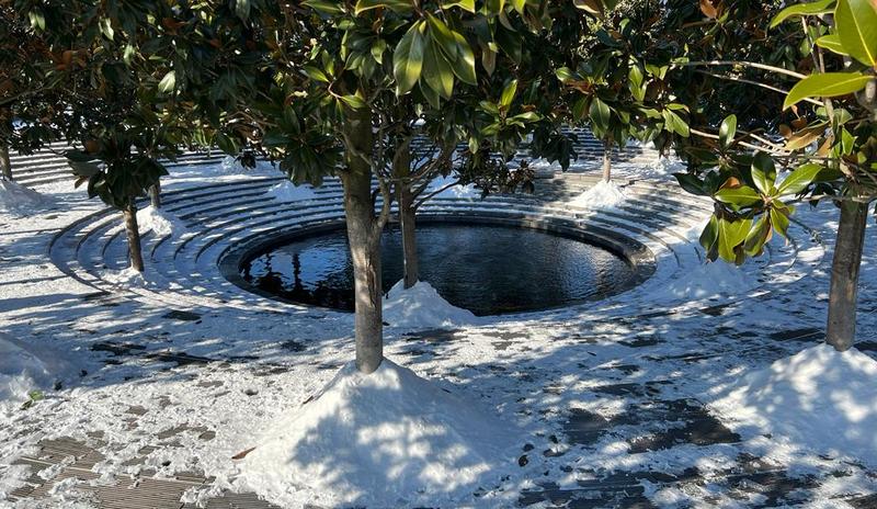 Bitrix 182775: IMG_20230209_WA0003.jpg