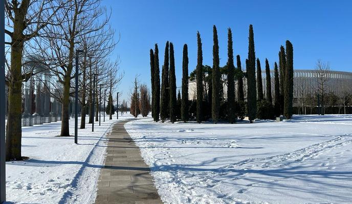 Bitrix 182885: IMG_20230209_WA0004.jpg