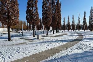 Bitrix 167223: IMG_20230209_WA0014.jpg