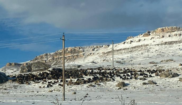 Bitrix 183147: IMG_20230214_060702.jpg