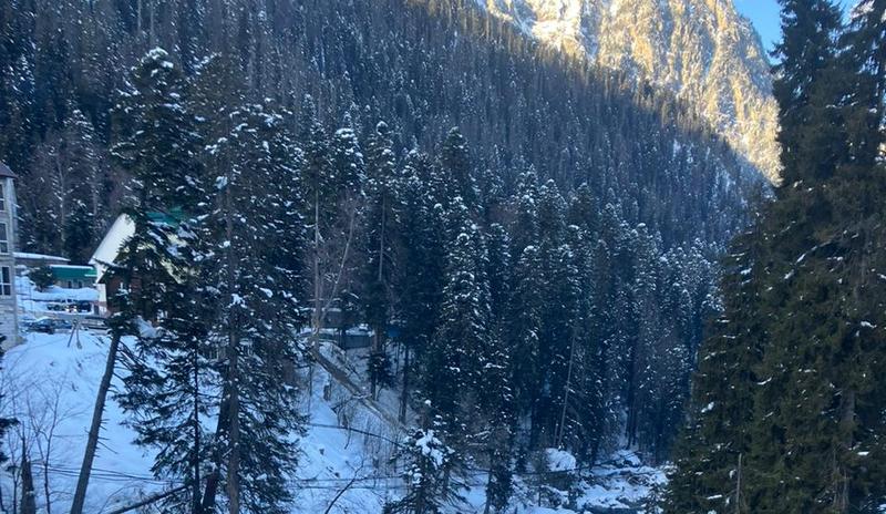 Bitrix 184384: IMG_20230214_060749.jpg