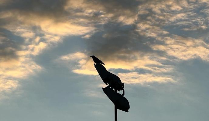 Bitrix 164408: IMG_20230308_WA0047.jpeg