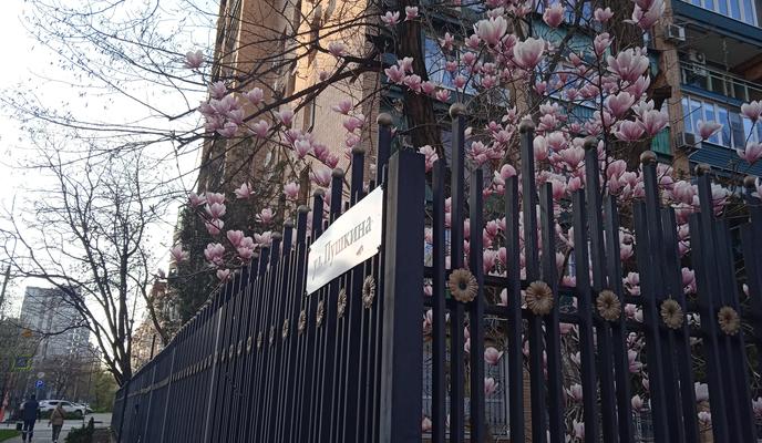 Bitrix 185437: IMG_20230325_174200.jpg