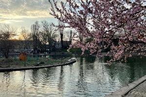 Bitrix 185680: IMG_20230325_WA0006.jpg