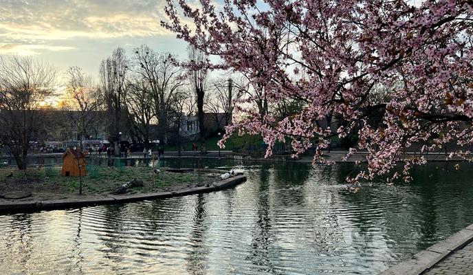 Bitrix 185680: IMG_20230325_WA0006.jpg