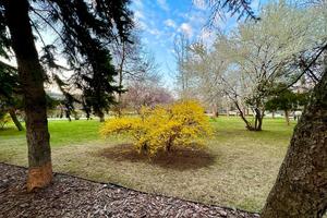 Bitrix 131784: IMG_20230325_WA0007.jpg