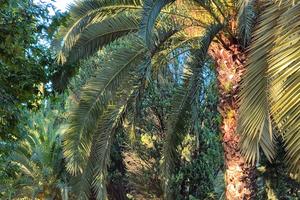 Bitrix 143836: IMG_20231220_WA0002.jpg