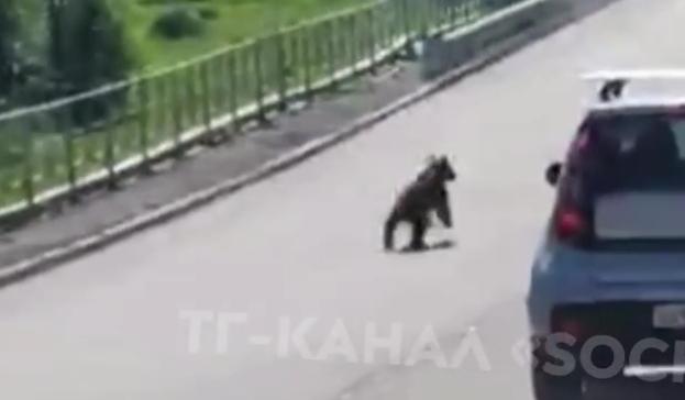 Bitrix 152027: IMG_20240526_154056.jpg