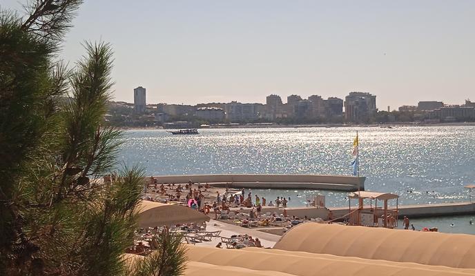 Bitrix 174205: IMG_20240925_125428.jpg