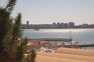 IMG_20240925_125428