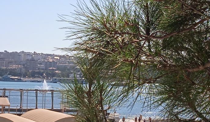 Bitrix 159628: IMG_20240925_125451.jpg