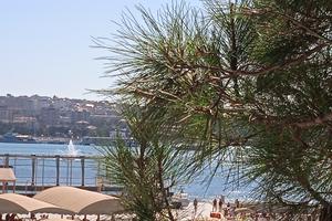 IMG_20240925_125451
