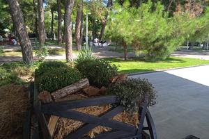 IMG_20240925_131727