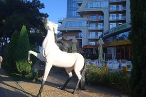 IMG_20240925_164052