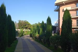 Bitrix 160995: IMG_20240925_164207.jpg