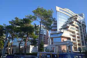 IMG_20240925_164346
