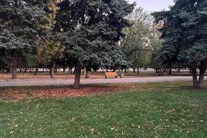 Bitrix 159961: IMG_20240927_WA0001.jpg