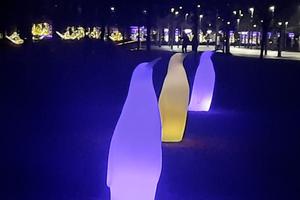 Bitrix 162581: IMG_20241128_WA0021.jpg
