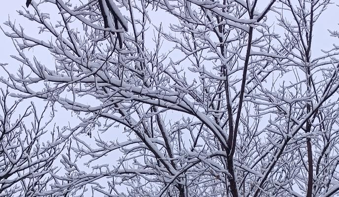 Bitrix 164923: IMG_20250115_080655.jpg