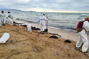 Bitrix 166102: IMG_20250205_142730.jpg
