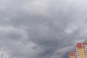 Bitrix 168375: IMG_20250319_080825.jpg