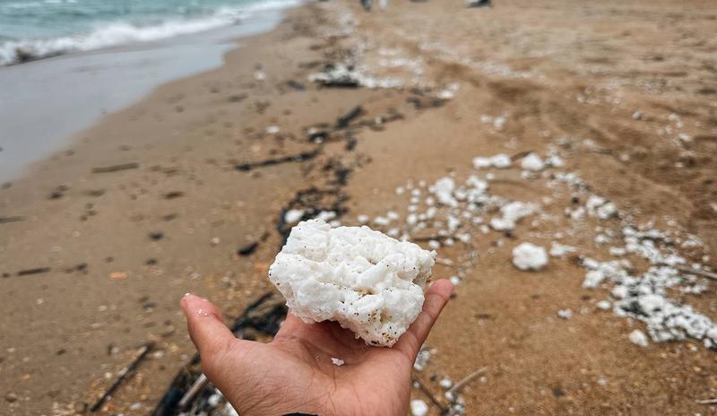 Bitrix 169399: IMG_20250407_094332_604.jpg