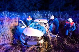 Bitrix 174697: IMG_20250717_101558_407.jpg