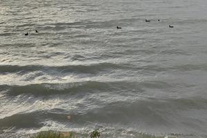 Bitrix 176953: IMG_20250902_085458.jpg