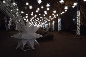 Bitrix 179177: IMG_20251021_WA0004_1_.jpg