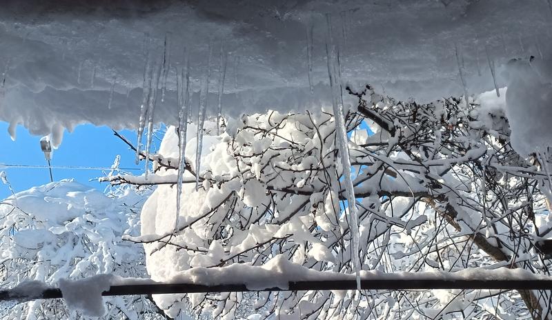 Bitrix 182232: IMG_20260102_094918.jpg