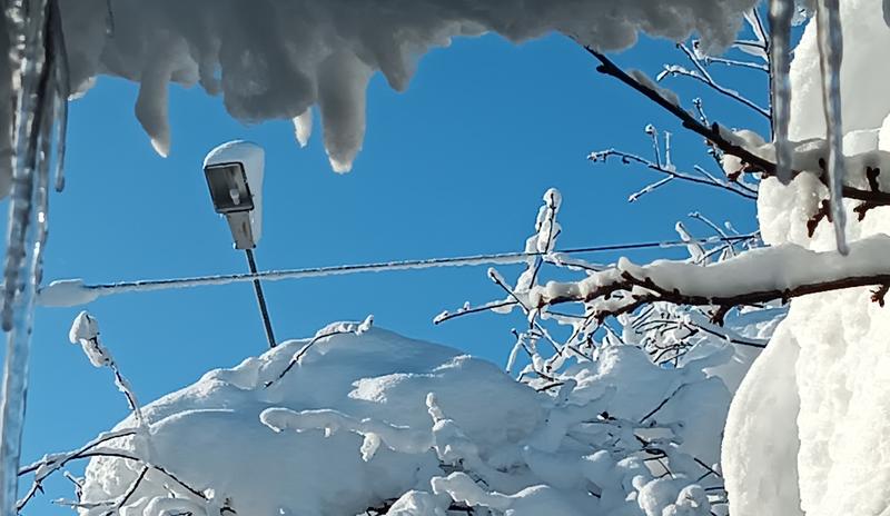 Bitrix 182223: IMG_20260102_094933.jpg