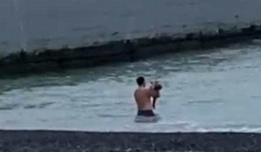 Bitrix 183052: IMG_20260123_164205.jpg