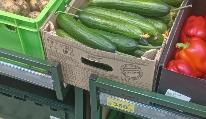 Bitrix 183404: IMG_20260131_160048.jpg