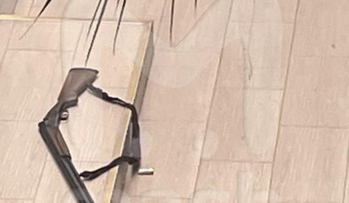 Bitrix 183860: IMG_20260211_144511_331.jpg