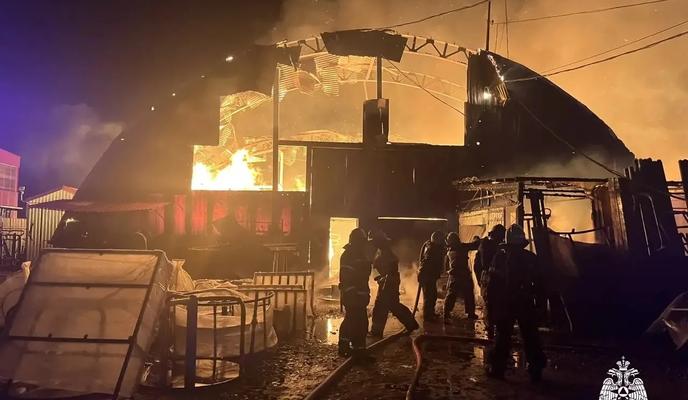 Bitrix 184634: IMG_20260303_090047_245.jpg