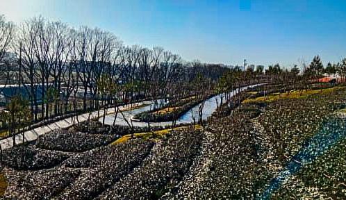 Bitrix 184953: IMG_20260310_164047_063.jpg