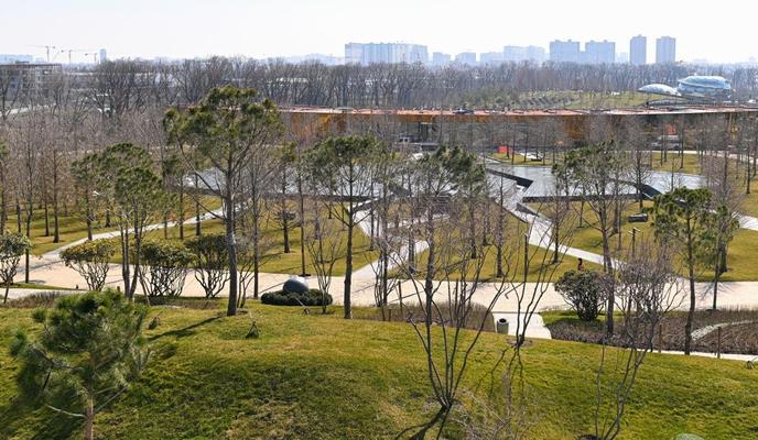 Bitrix 185460: IMG_20260323_080647_712.jpg